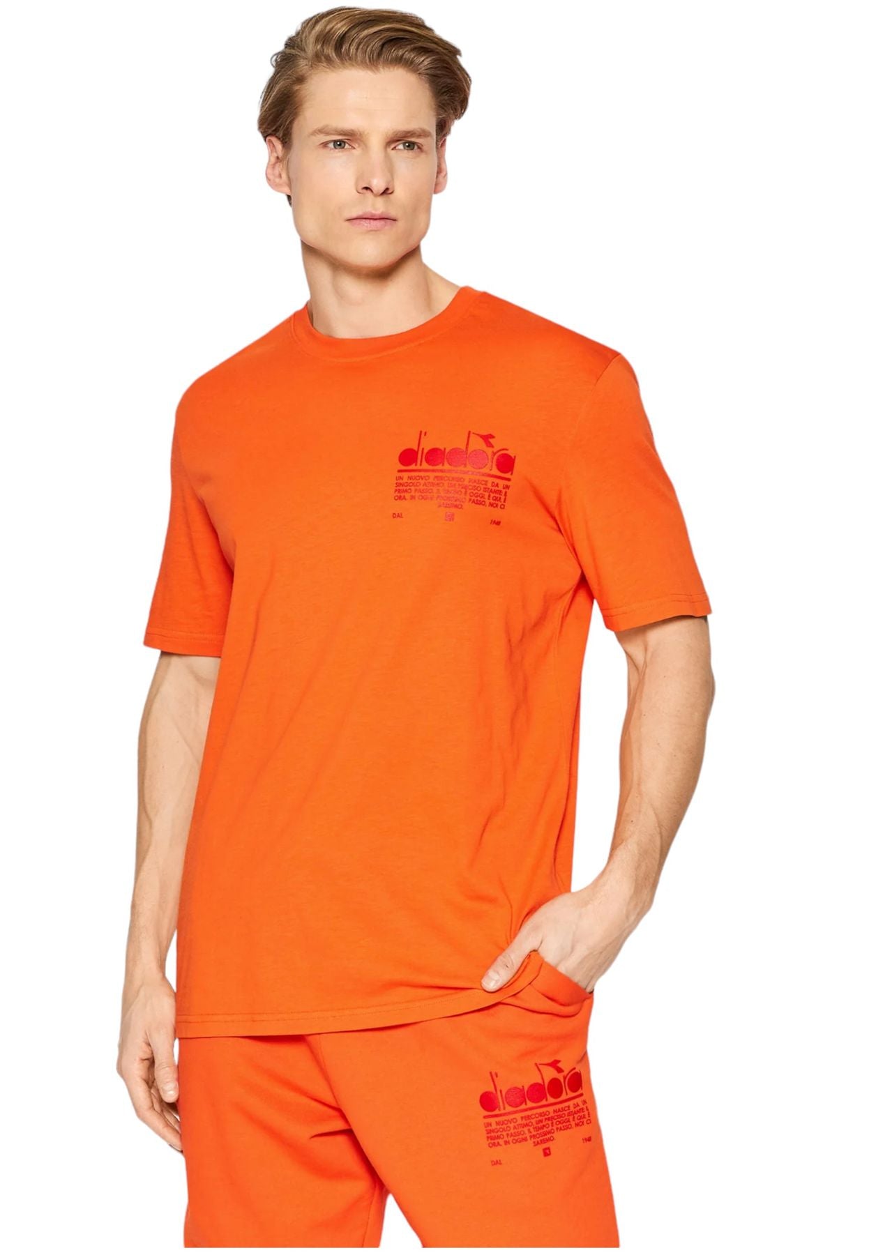 T-Shirt Manica Corta Uomo Diadora  Manifesto 502.178208