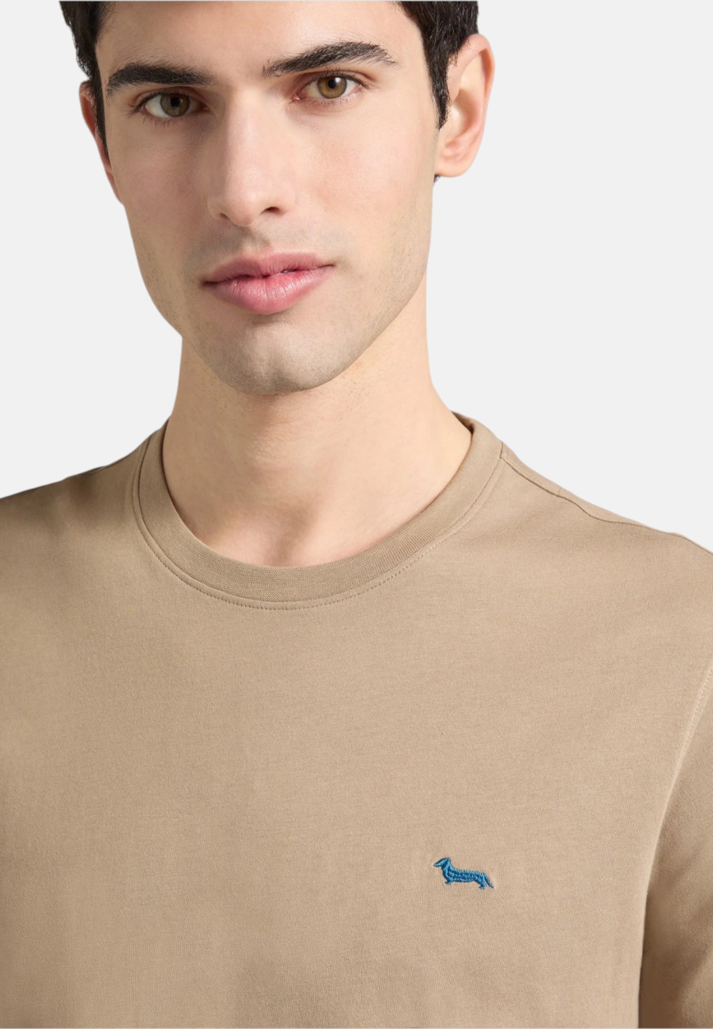 T-Shirt Manica Corta Uomo Harmont & Blaine Basic  INQ001021055