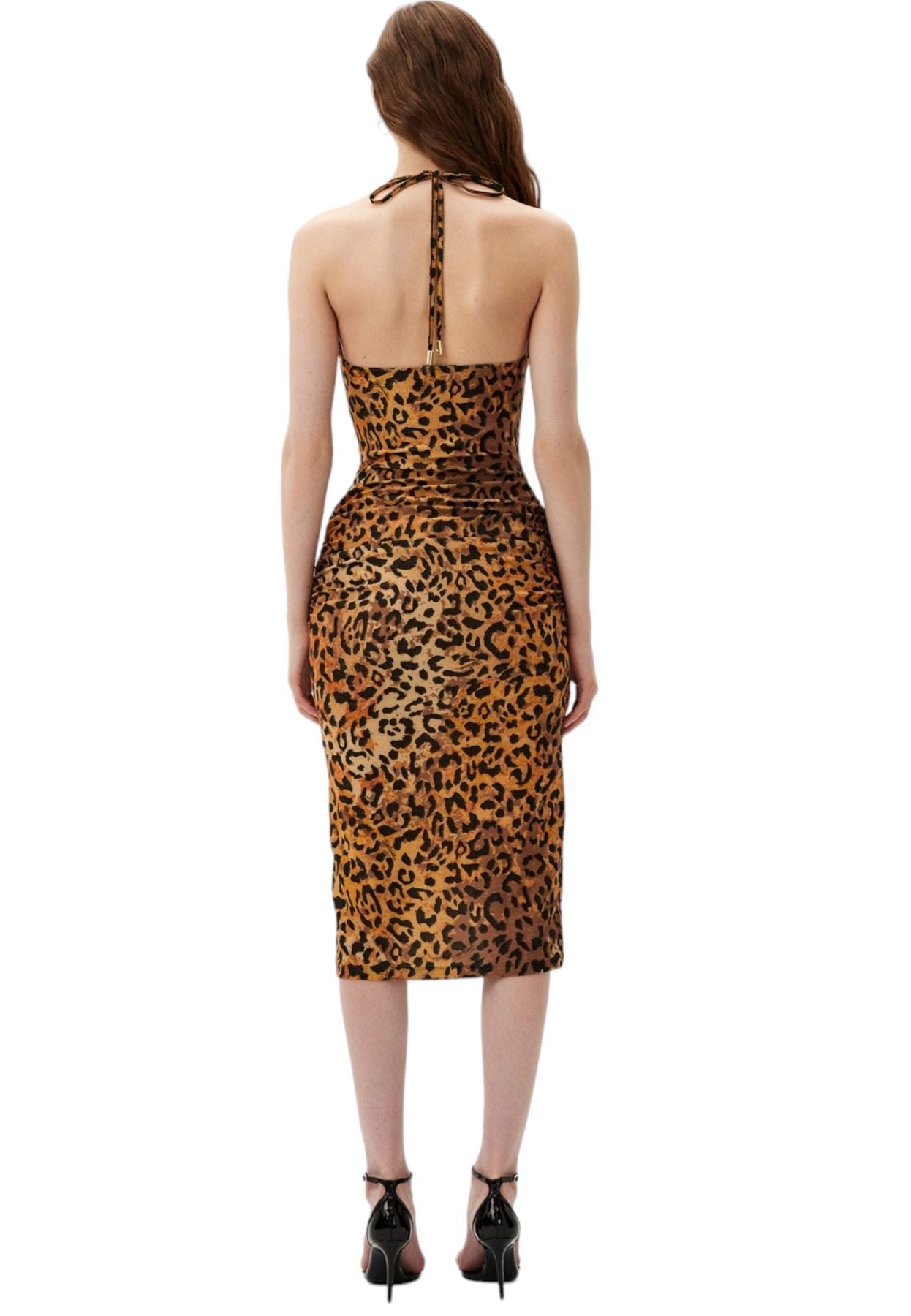 76PAO924JS253 - Robe - Just Cavalli
