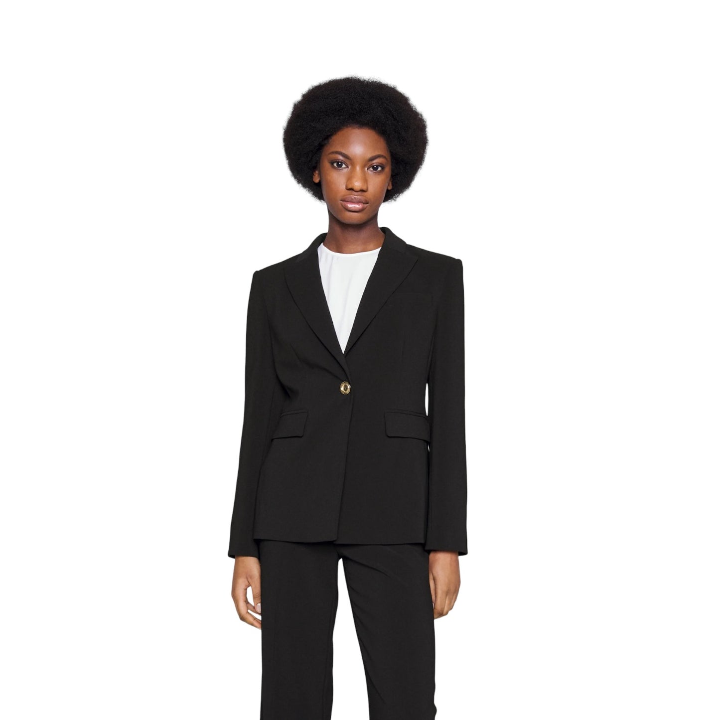 Giacca Elegante Donna Pinko Blazer Humahuaca 1001807624