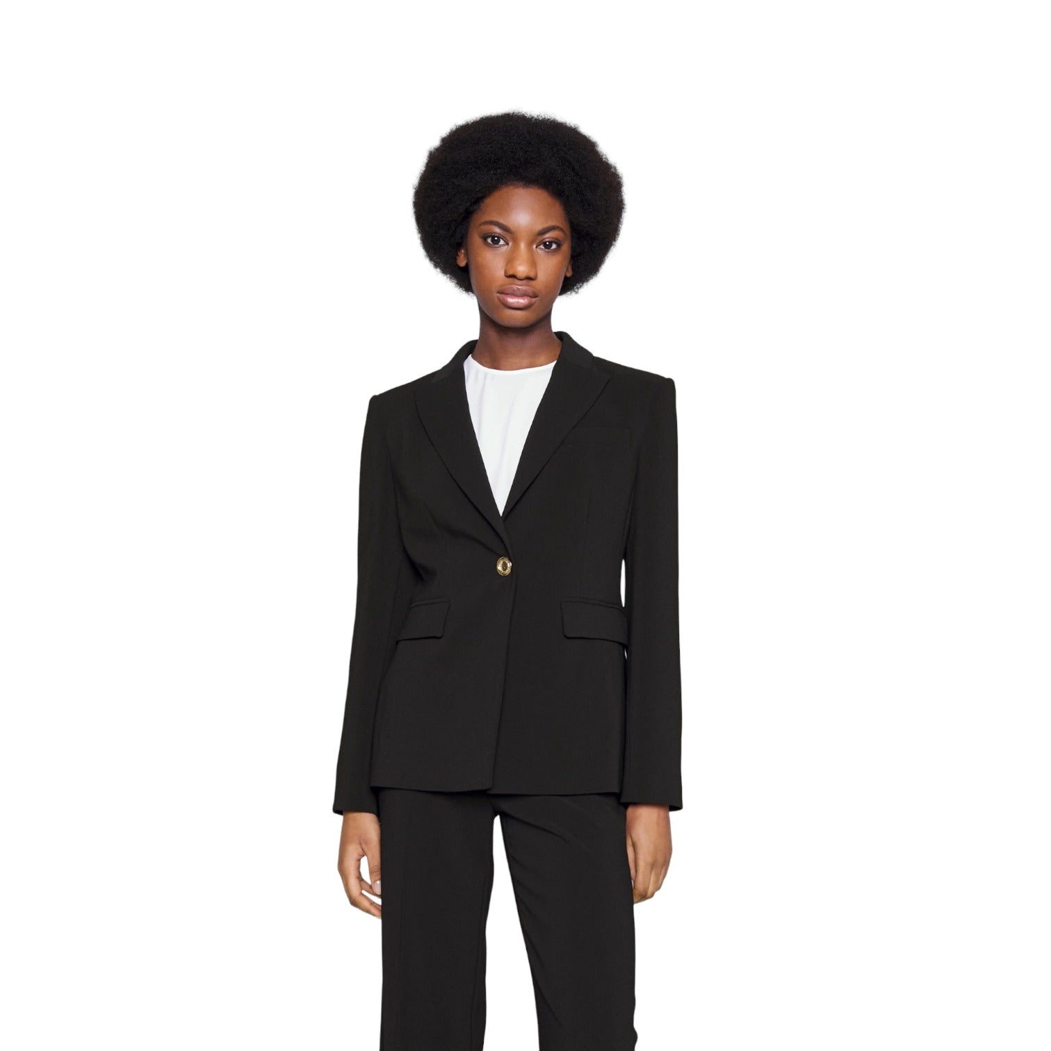 Giacca Elegante Donna Pinko Blazer Humahuaca 1001807624