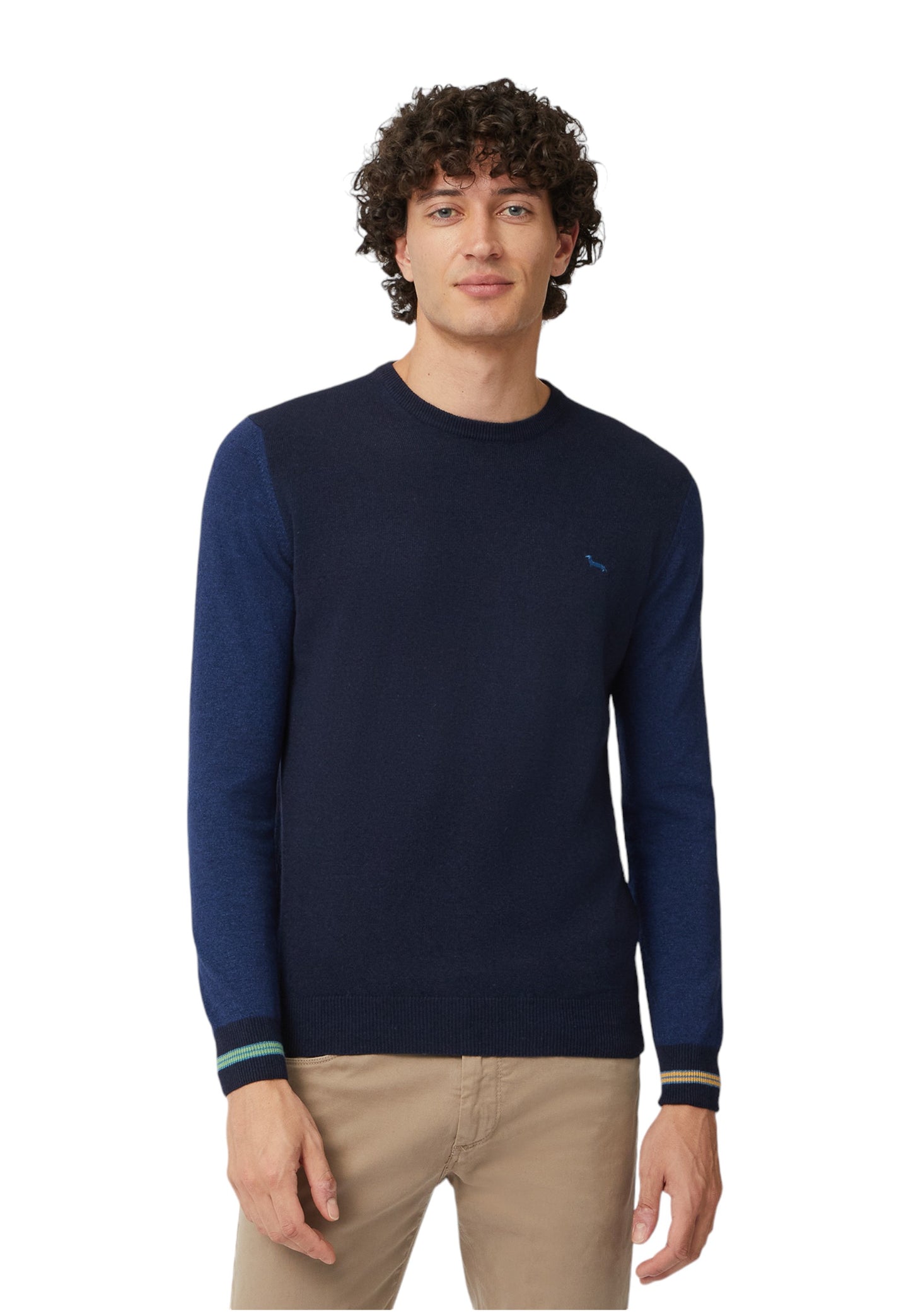 HRM677030187 - Maglione - Harmont & Blaine