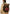 Zaino  Donna Desigual  Back Neo Grunge Voyager Brown 26SAKY11