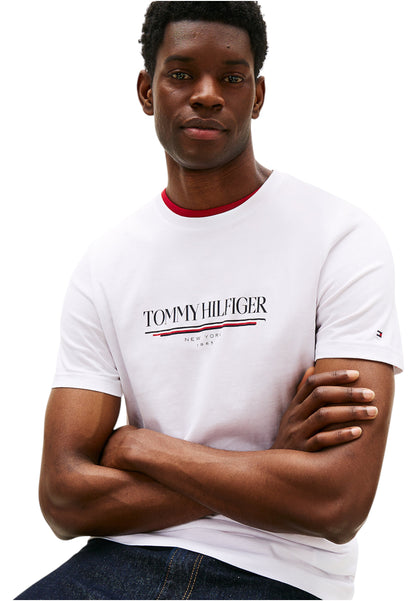 T-Shirt Manica Corta Uomo Tommy Hilfiger  Brand Love Hilfiger MW0MW40324