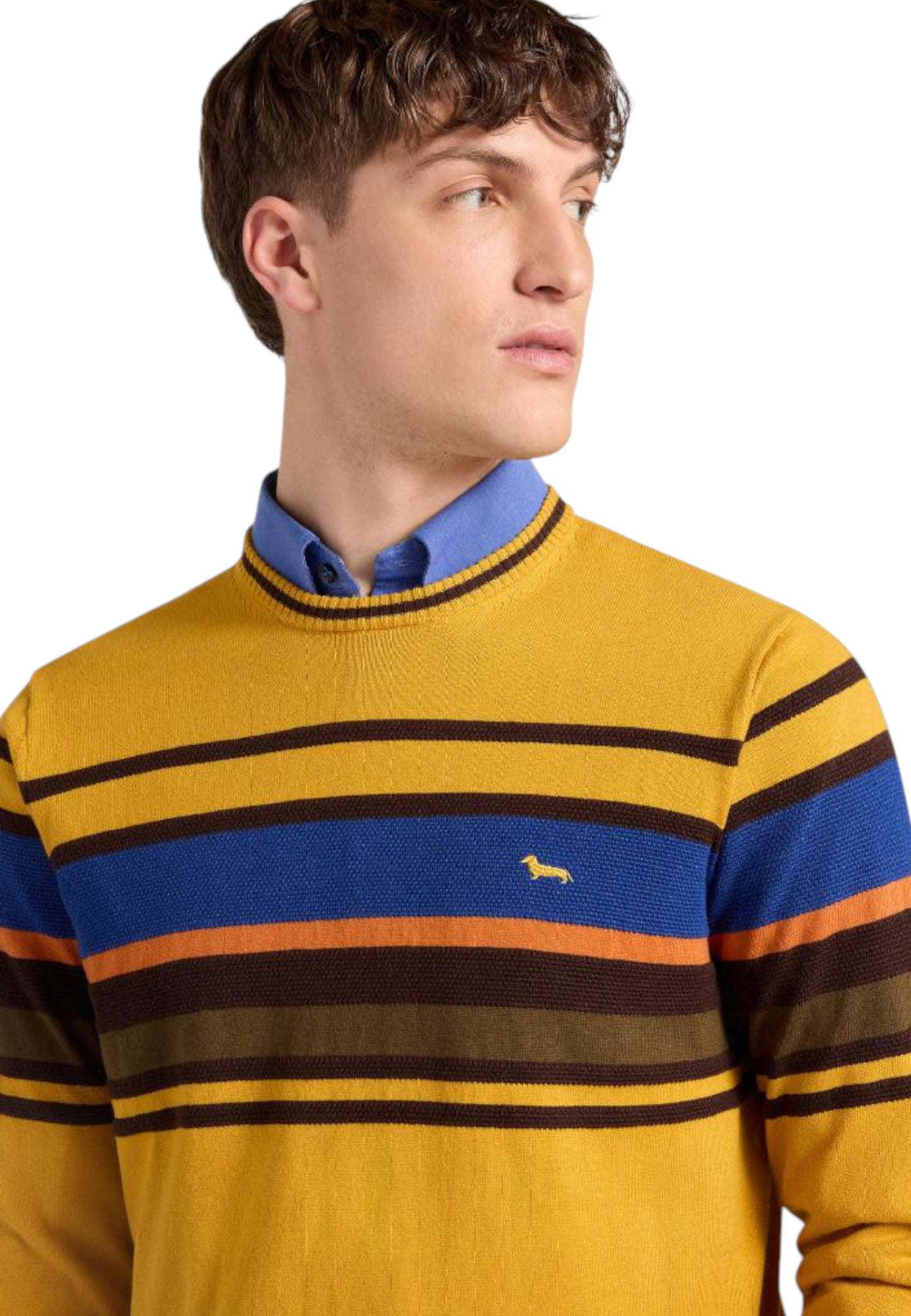 Maglione A Girocollo Uomo Harmont & Blaine Righe Piazzate 3D  HRP823030788