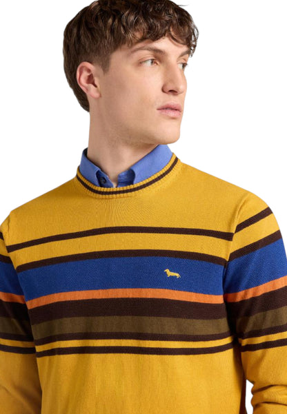 Maglione A Girocollo Uomo Harmont & Blaine Righe Piazzate 3D  HRP823030788