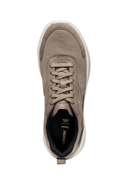 Sneakers Basse Donna Geox  Xtors D551FD014EK