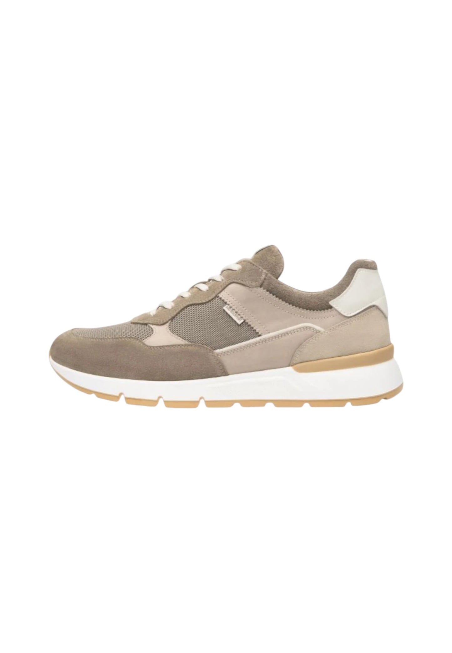 Sneakers Basse Uomo Nero Giardini