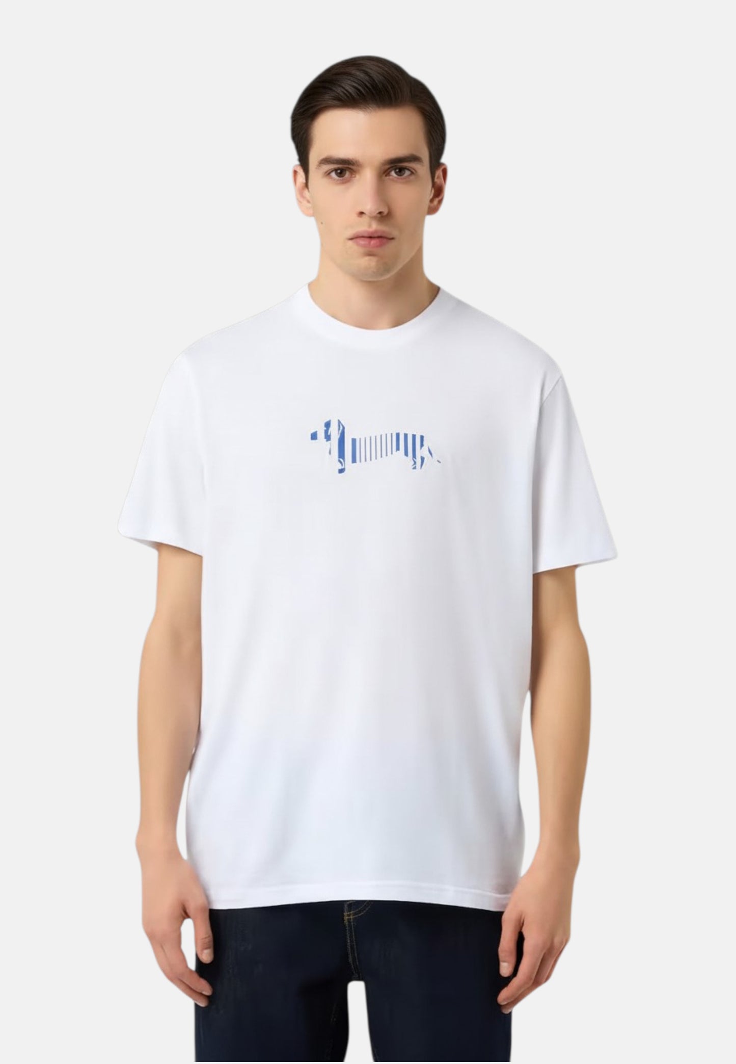T-Shirt Manica Corta Uomo Harmont & Blaine "Righe ""Sorbetto"""  IRQ403021055R
