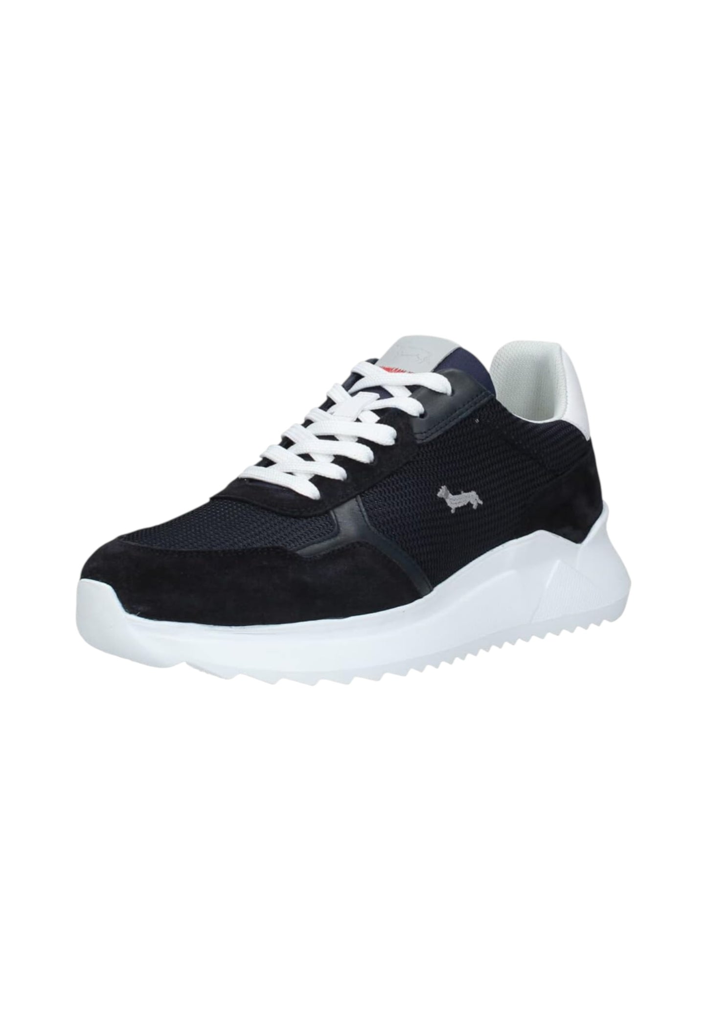 Sneakers Basse Uomo Harmont & Blaine   EFM231060