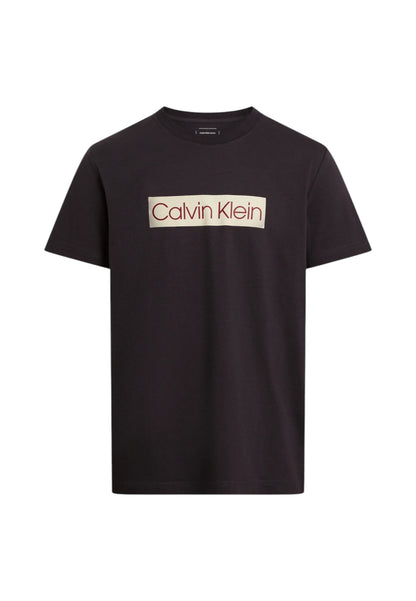 T-Shirt Manica Corta Uomo Calvin klein Jeans