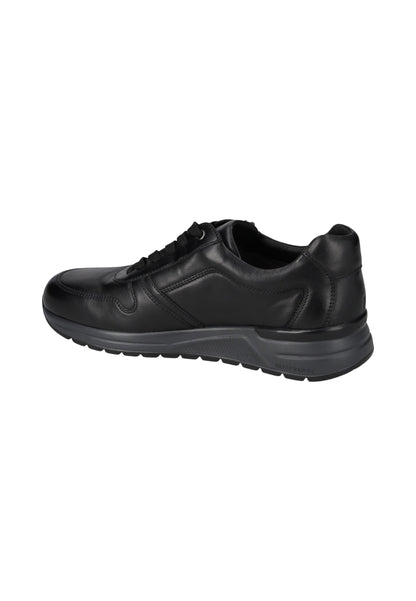Sneakers Basse Uomo Valleverde   VY954W