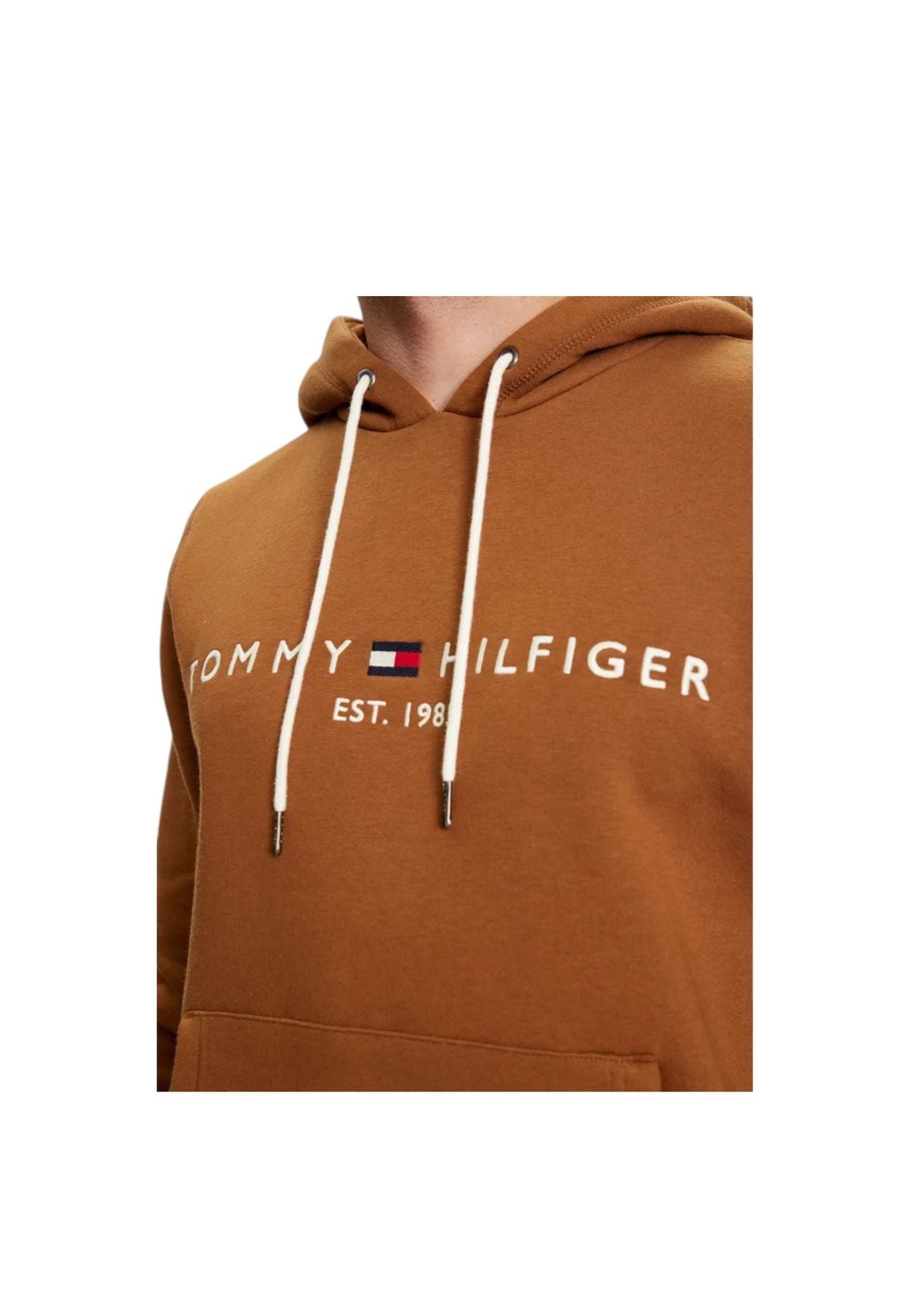 MW0MW11599 - Felpa - Tommy Hilfiger