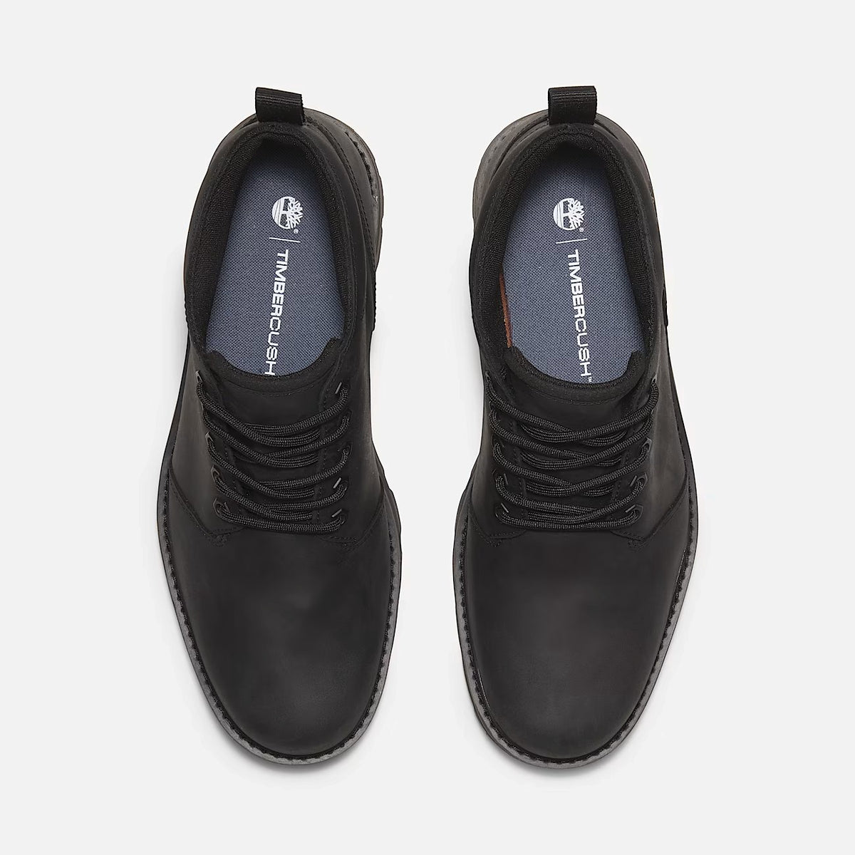 Stivaletti  Uomo Timberland  Brrd Mid TB0A69TWW
