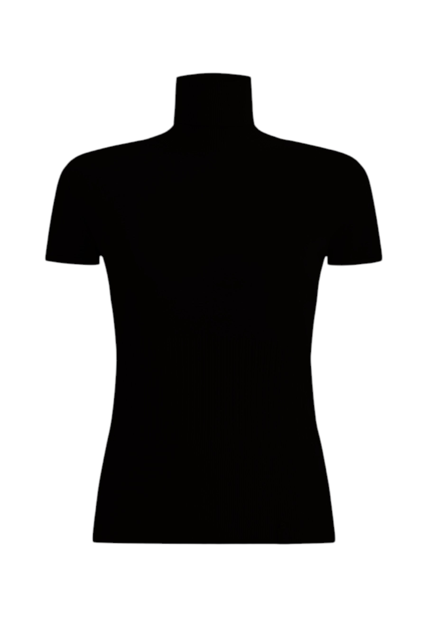 Maglione Collo Alto Donna Alviero Martini   D7009FV12