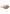 Ciabatte  Donna Liu Jo In Pelle Di Vitello Sandy 03 SA6127P0102