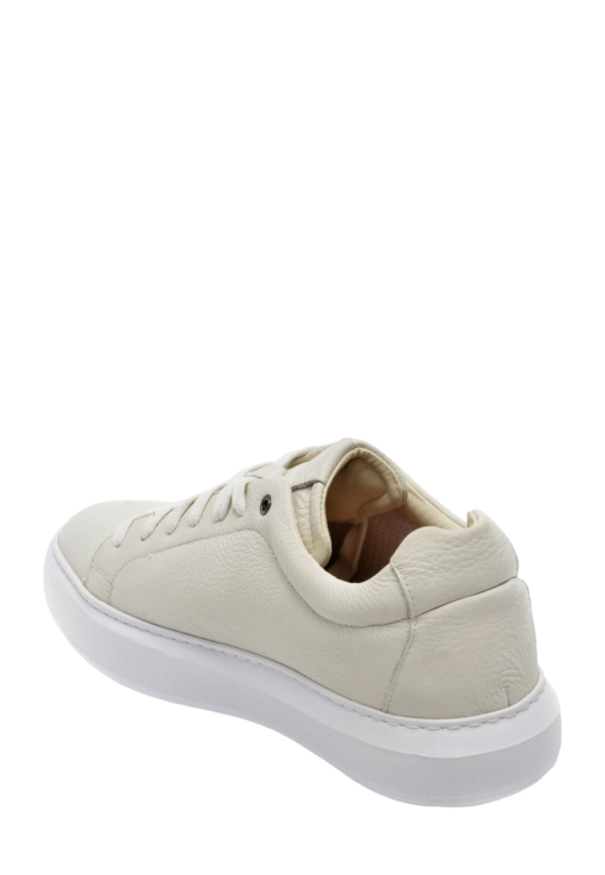 Sneakers Basse Uomo Geox   U845WB000T0