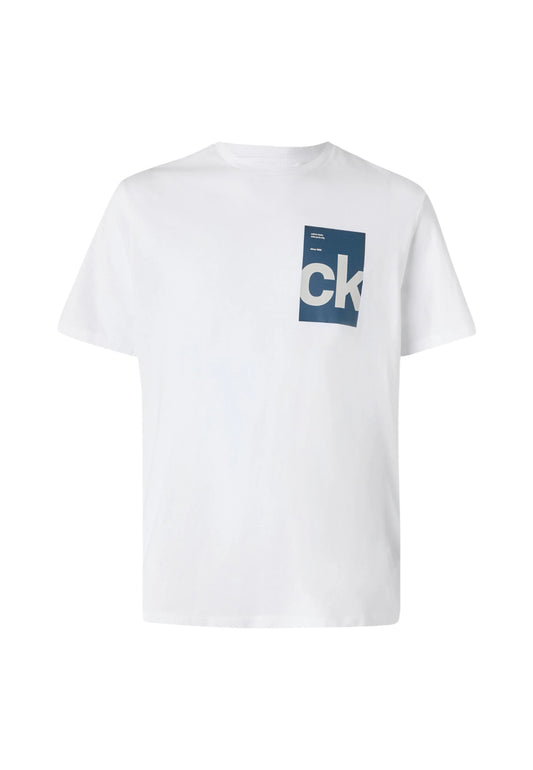 T-Shirt Manica Corta Uomo Calvin klein Jeans  30S Eu Bh Box Gra LV04RC847G