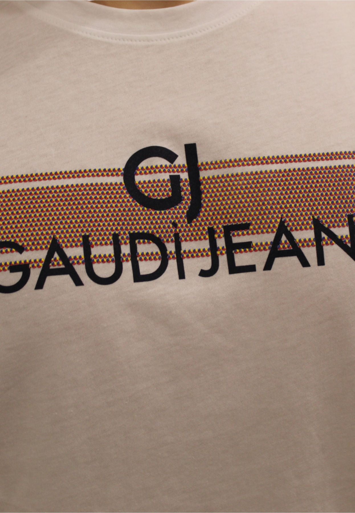 311GU64053 - T-shirt - Gaudí