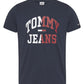 T-Shirt Manica Corta Uomo Tommy Jeans   DM0DM12421