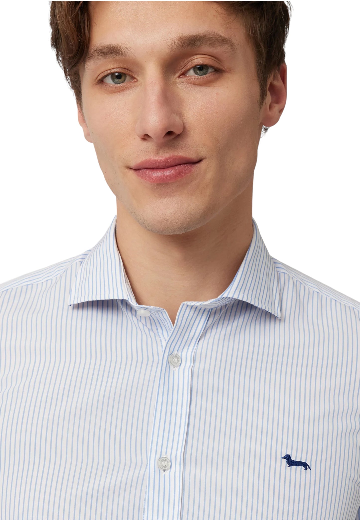 Camicia Manica lunga Uomo Harmont & Blaine A Righe Con Bassotto  CNP074013437I