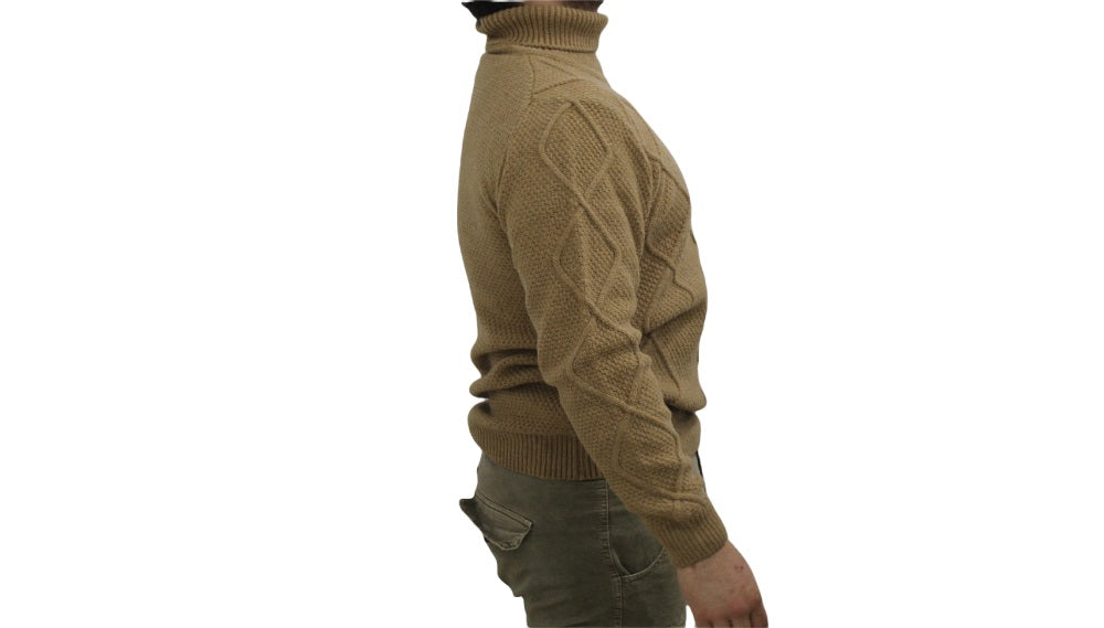 Maglione Collo Alto Uomo Cashmere Company   IU202207