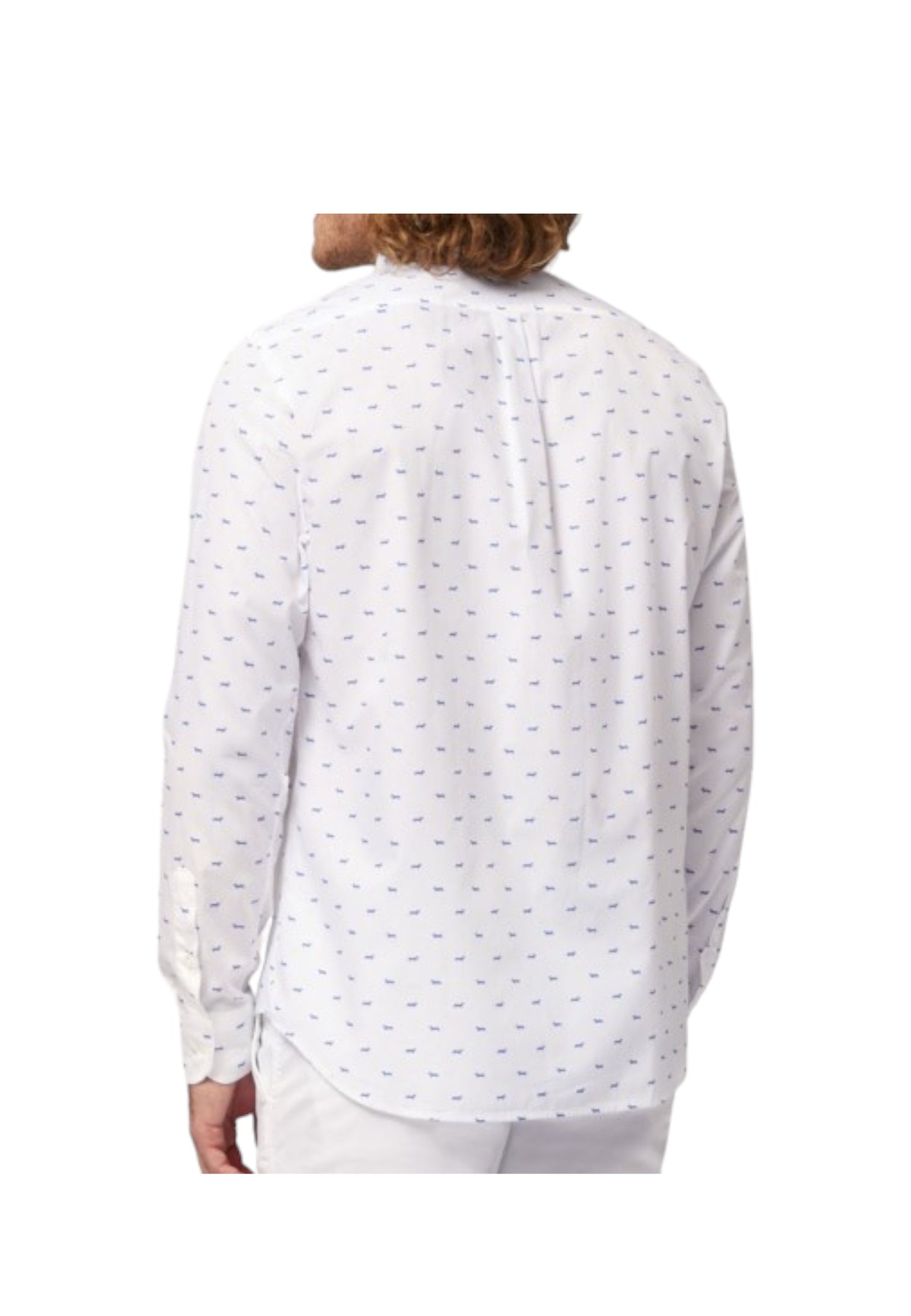 CRM001S08799M - Camicia - Harmont & Blaine