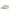 Sneakers Basse Donna Colmar Originals  Garner Wild GARNERW