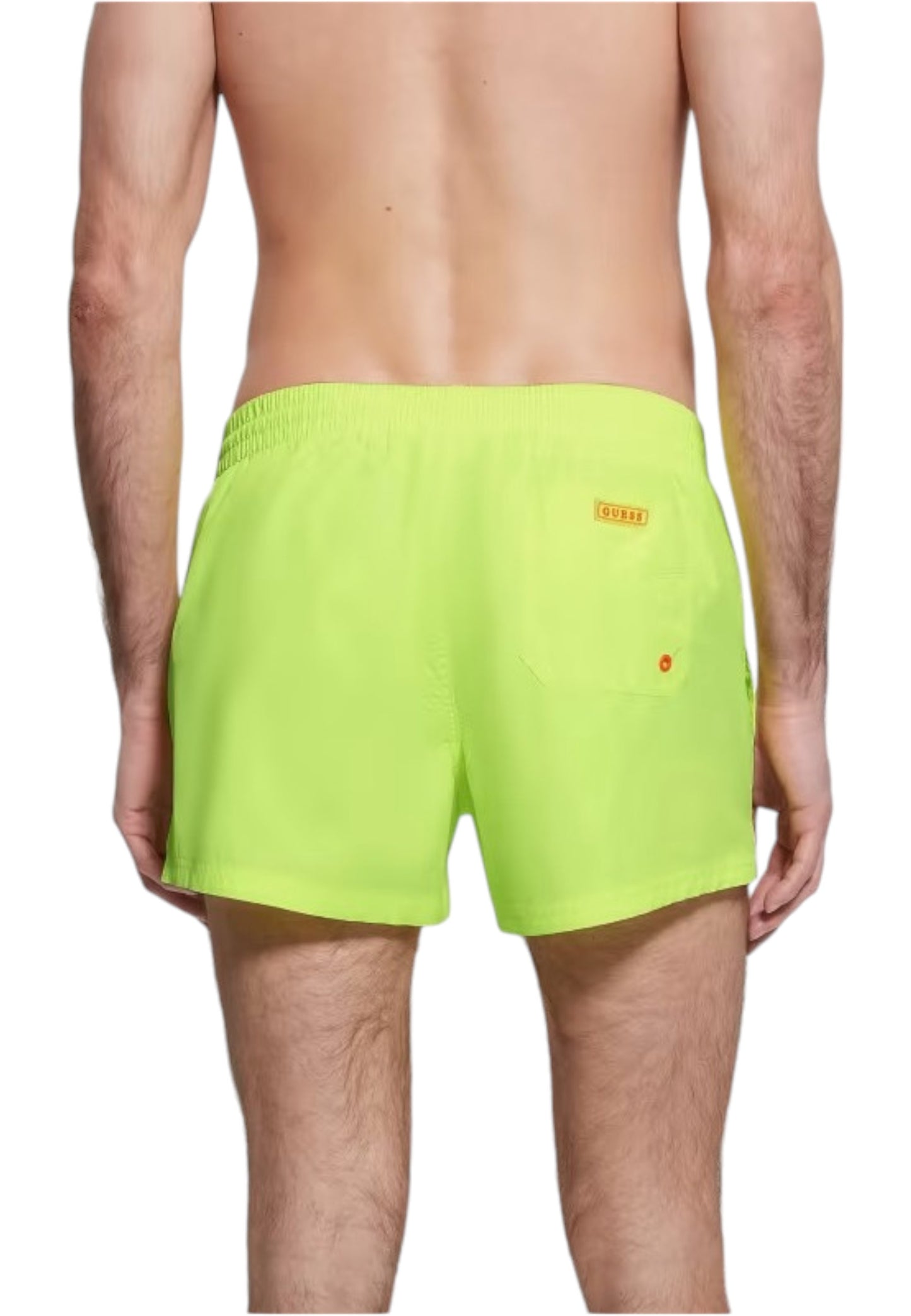 F4GT02WG282 - Costume da bagno - Guess