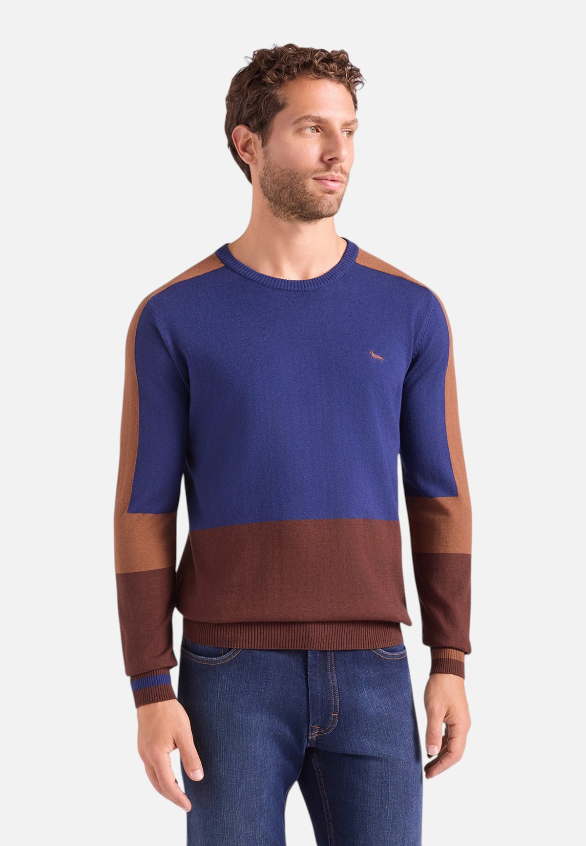 Maglia A Girocollo Uomo Harmont & Blaine Misto cotone e lana, Design color block, Regular Fit, Finiture a costine, Logo Harmont & Blaine  HRR908030788