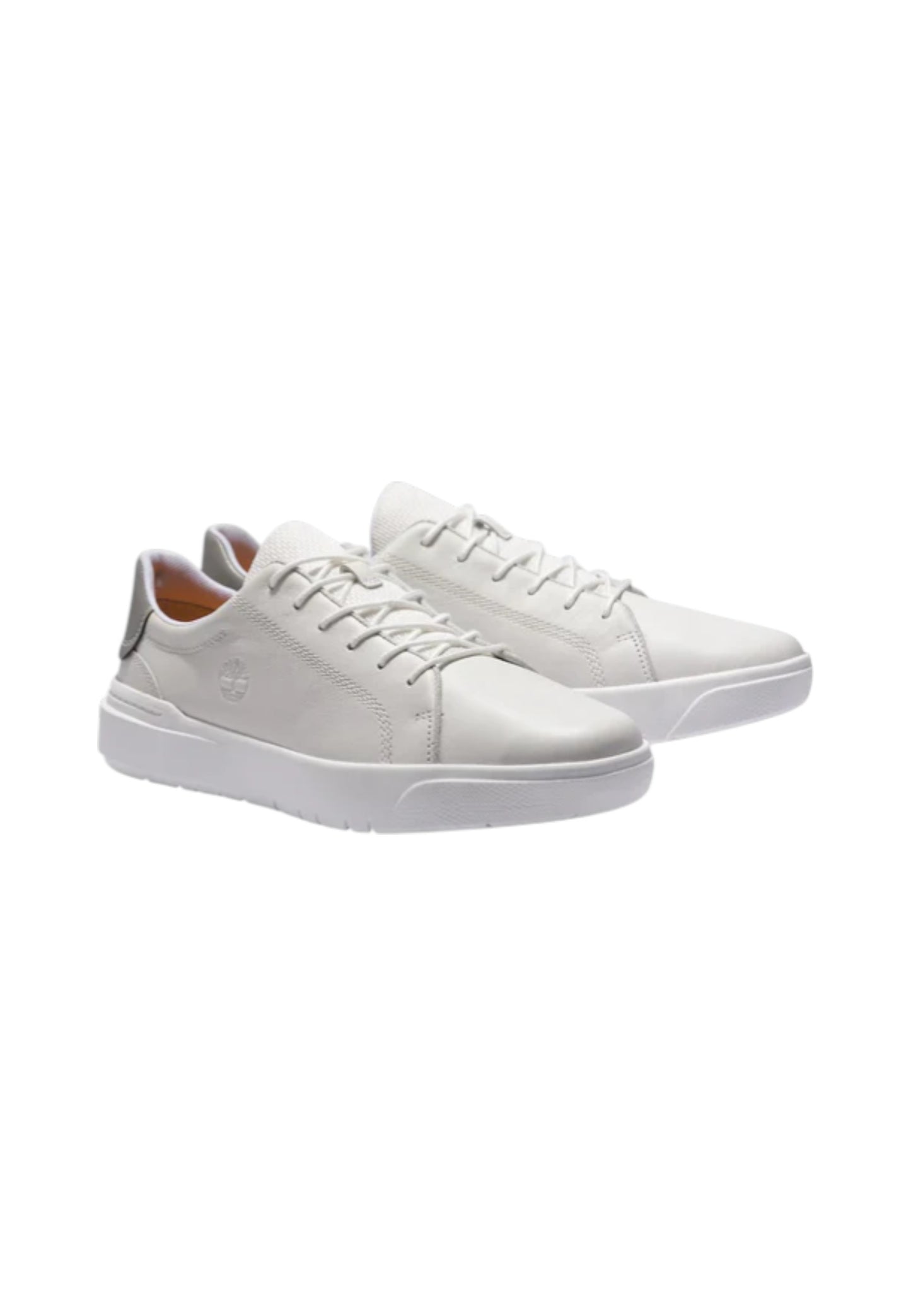 Sneakers Basse Uomo Timberland   TB0A2921