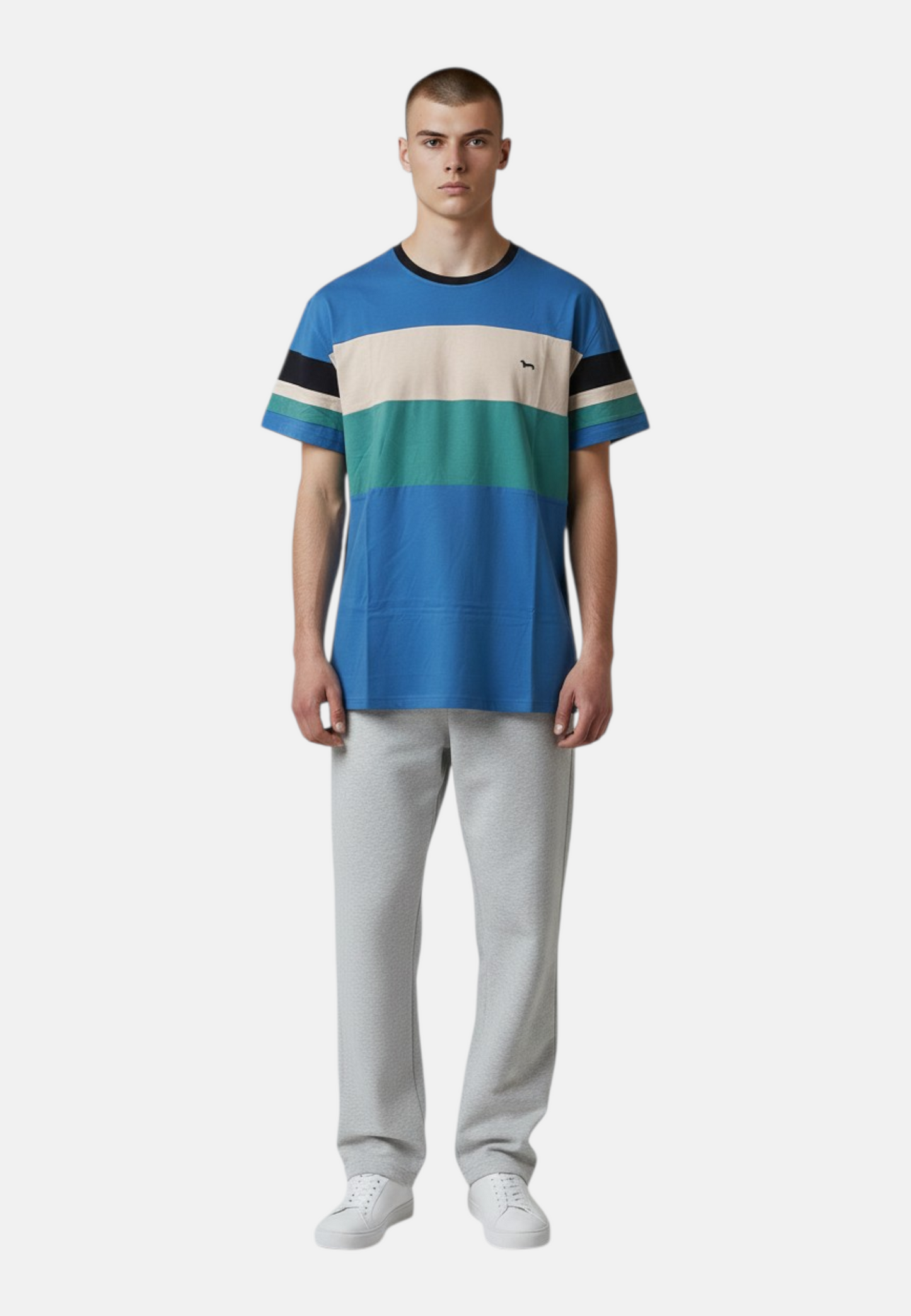 T-Shirt Manica Corta Uomo Harmont & Blaine   IRN253021055