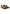Sneakers Basse Donna Liu Jo In Pelo Cavallino Leopard Connor 03 BA6071TX521
