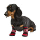 Moon Boot x Poldo Dog Couture  Scarpina MB_SH0002
