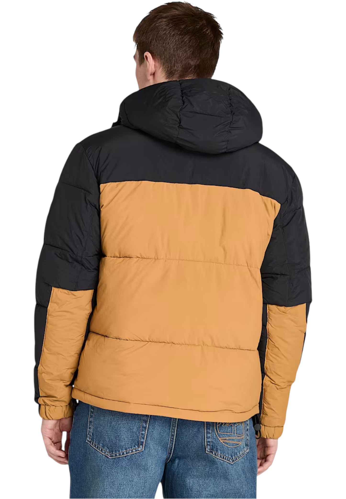 TB0A6267 - Giacca - Timberland