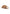 Ciabatte  Donna Ugg   UGSOUT