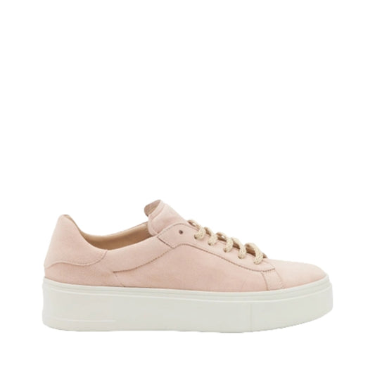 Sneakers Basse Donna Frau  Daino 36D7