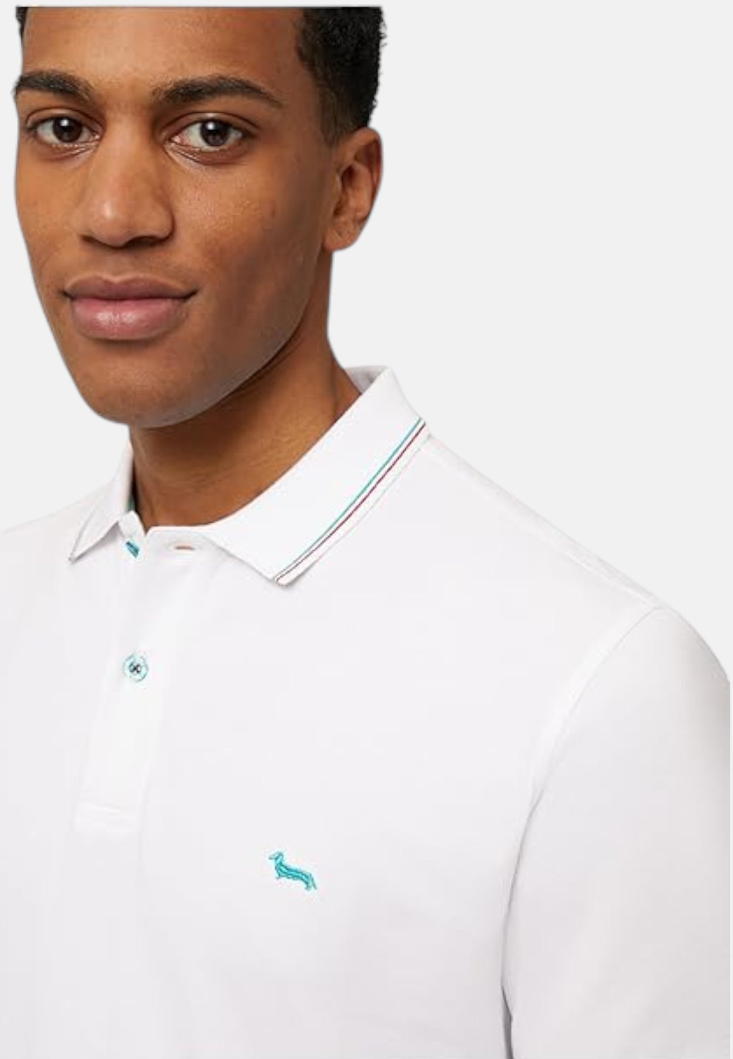 Polo Manica Corta Uomo Harmont & Blaine Con Orli E Righini A Contrasto  LNQ032020862