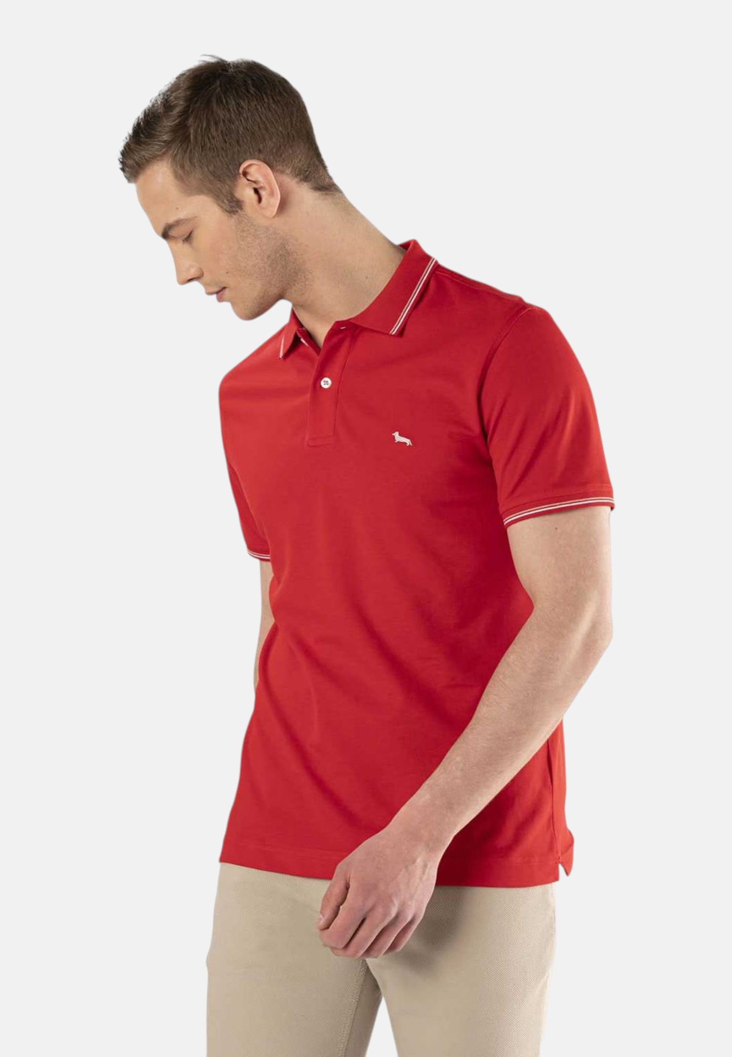 Polo Manica Corta Uomo Harmont & Blaine   LNH032020862