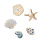 Accessori calzature  Donna Crocs  Gold Seashell 5 Pack CR.6041