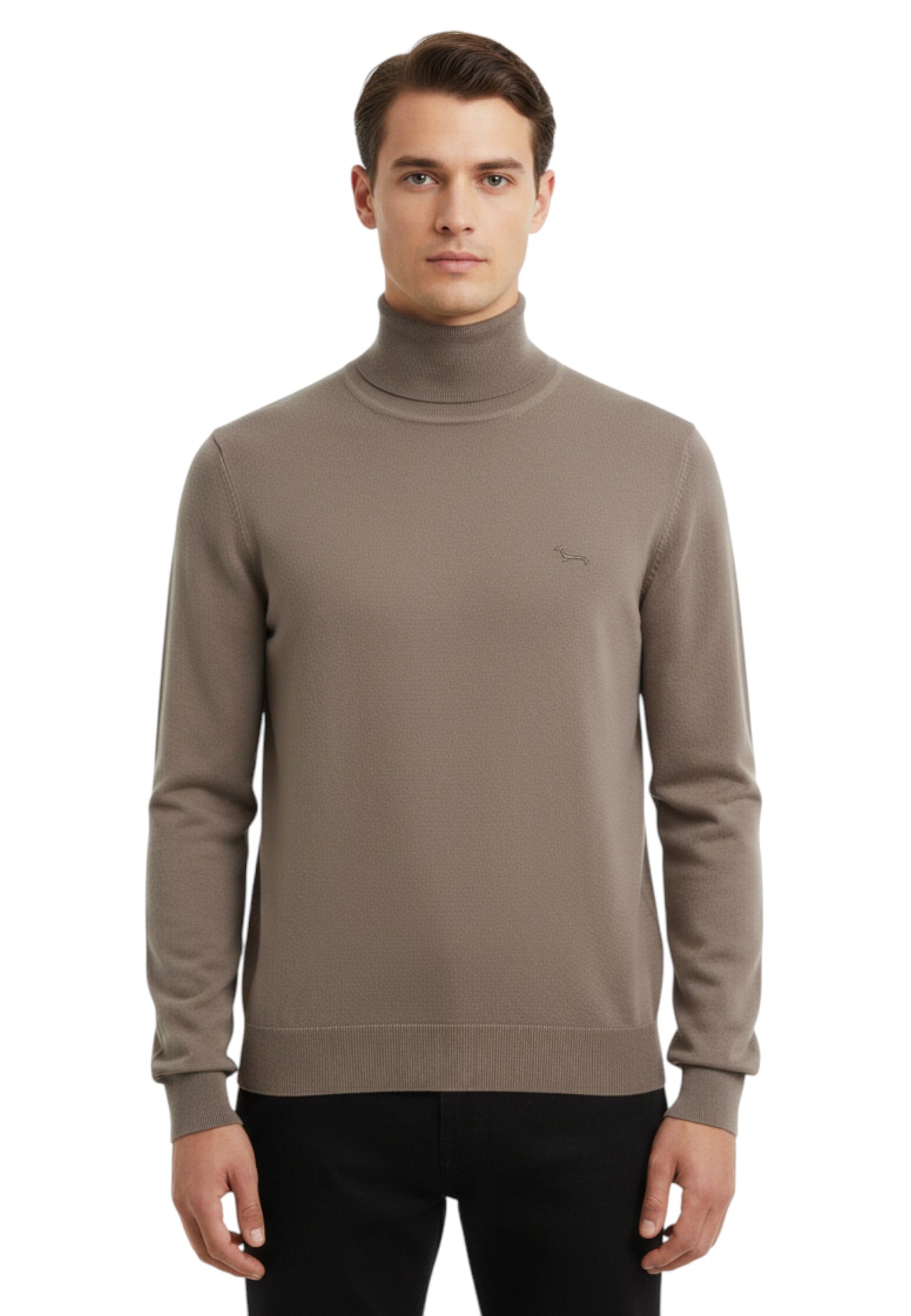 Maglione Collo Alto Uomo Harmont & Blaine Dolcevita Basic In Merino  HRP006030478
