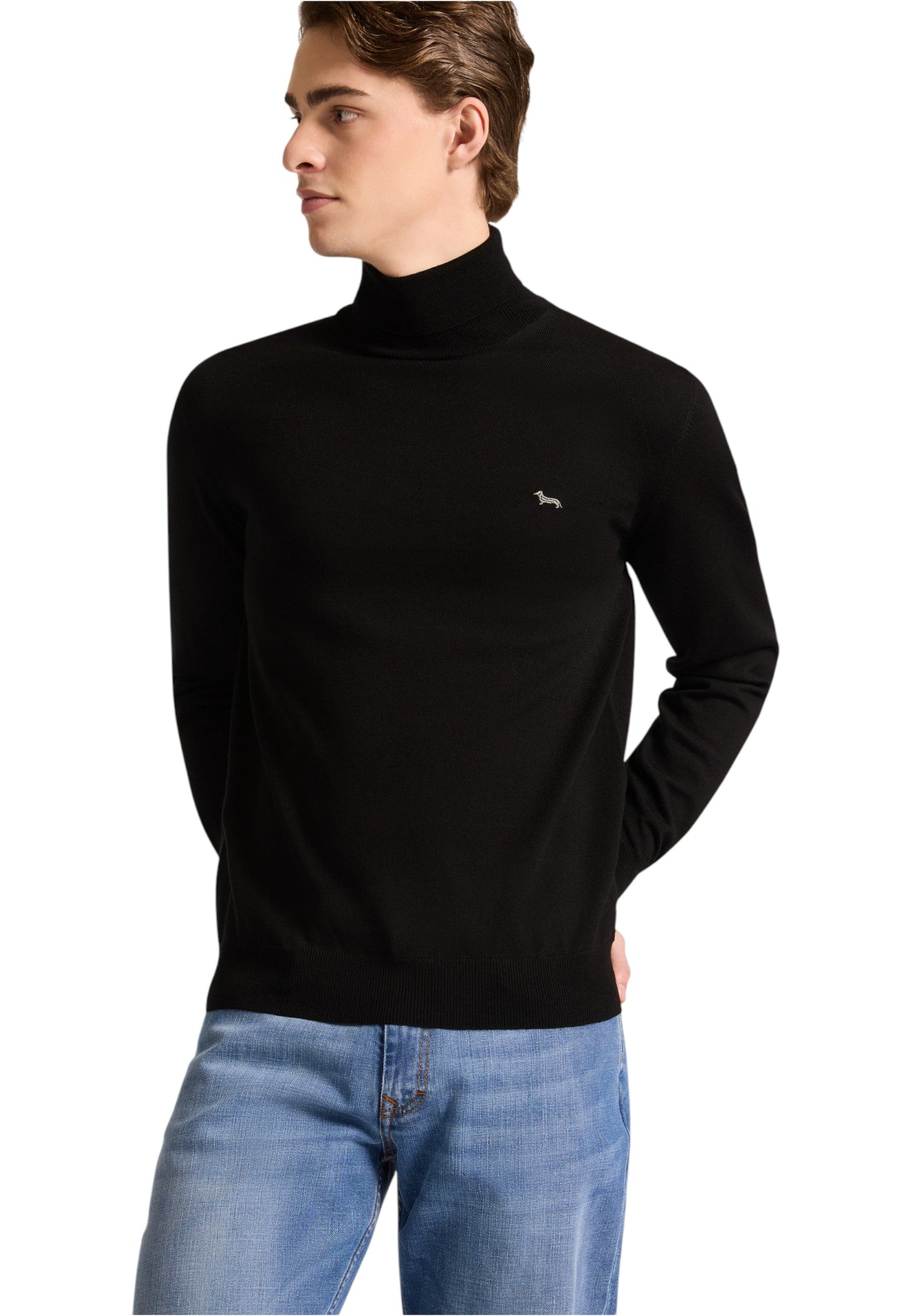 Maglione Collo Alto Uomo Harmont & Blaine Dolcevita Basic In Merino  HRP006030478