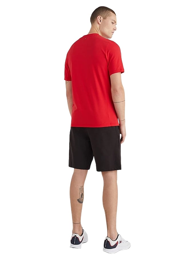 T-Shirt Manica Corta Uomo Tommy Hilfiger   MW0MW22735