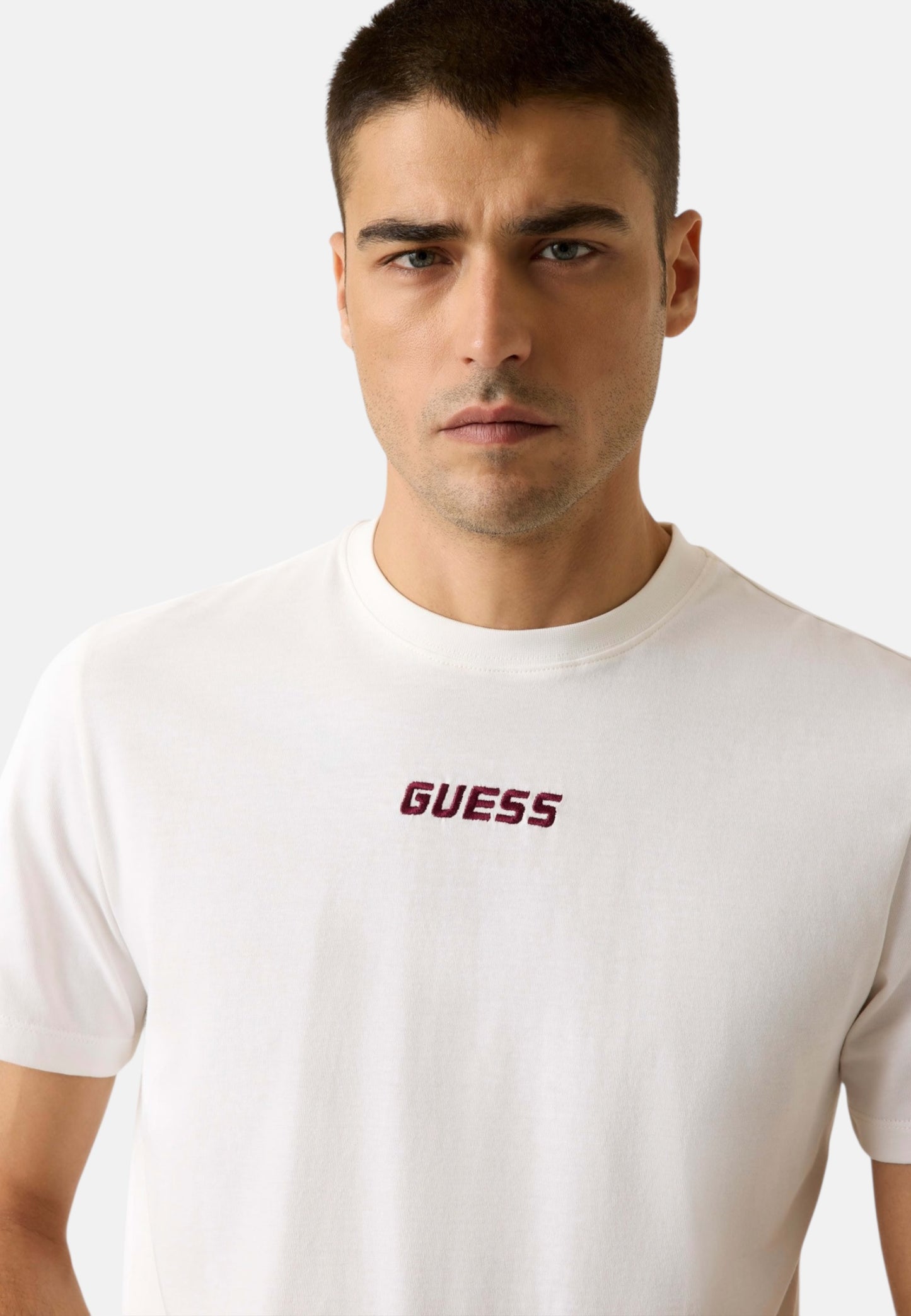 T-Shirt Manica Corta Uomo Guess  Cochise Z6RI00I3Z14