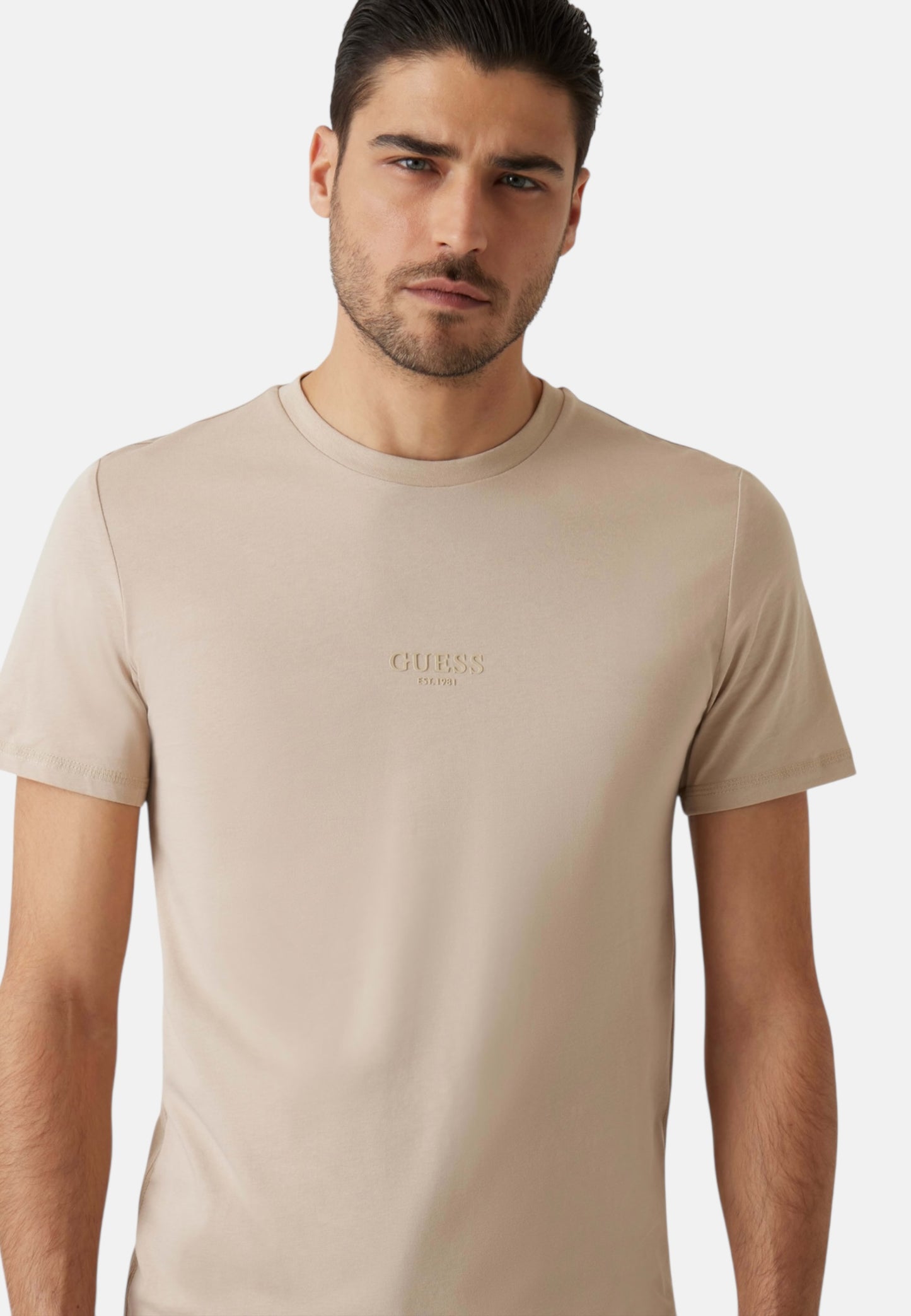 T-Shirt Manica Corta Uomo Guess  Aidy M2YI72I3Z14