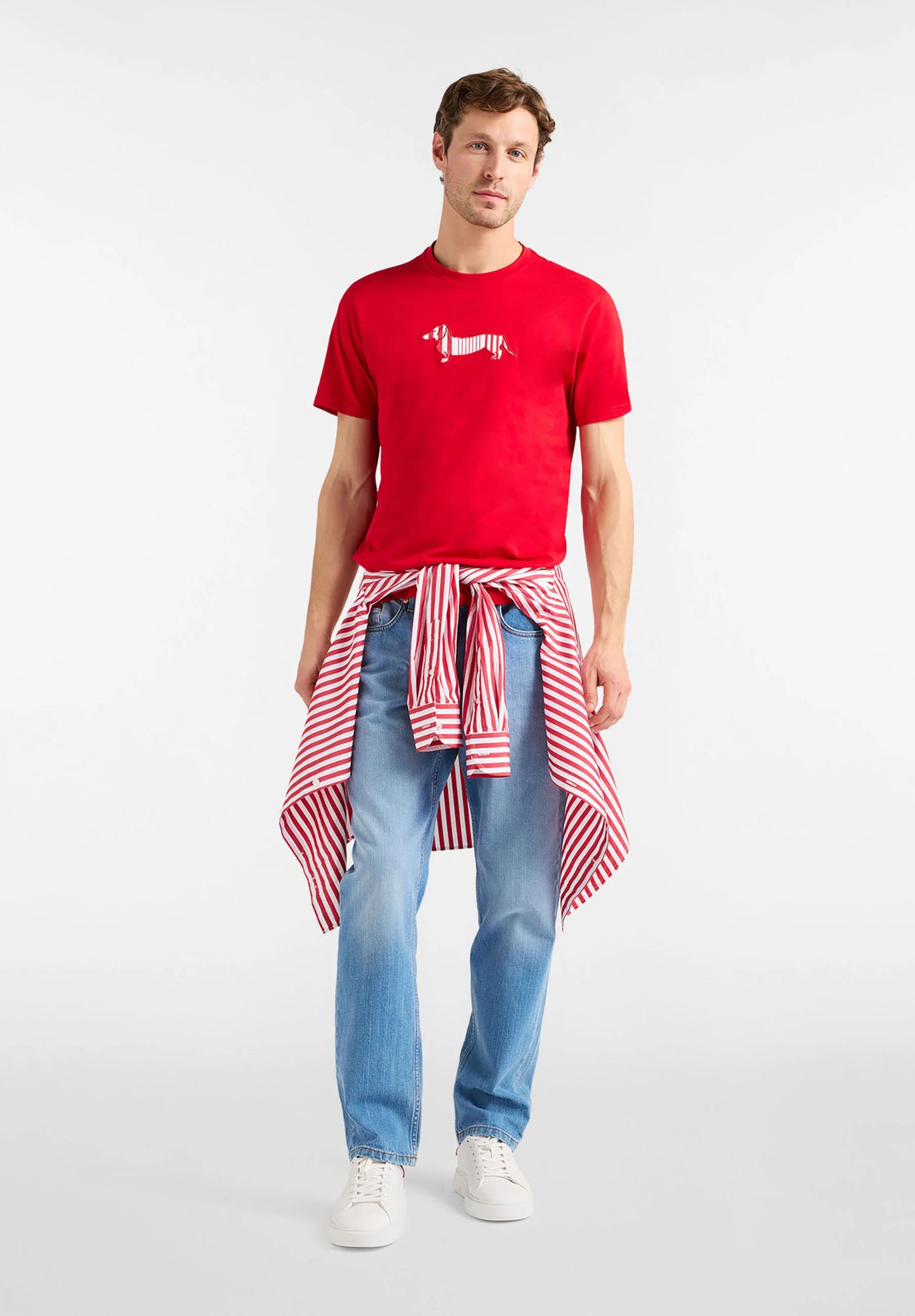 T-Shirt Manica Corta Uomo Harmont & Blaine "Righe ""Sorbetto"""  IRQ403021055R