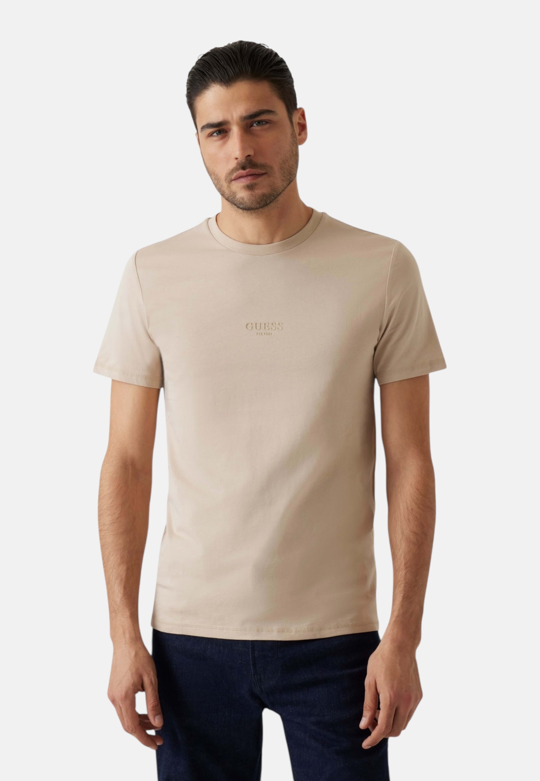 T-Shirt Manica Corta Uomo Guess  Aidy M2YI72I3Z14