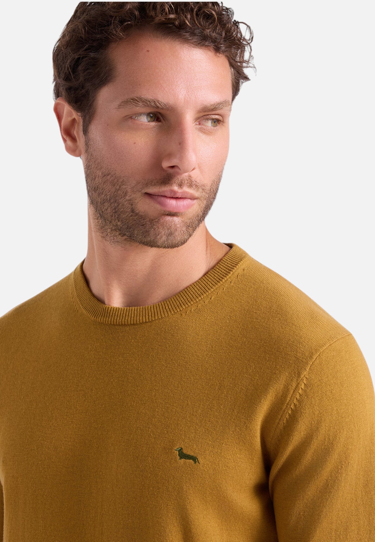 Maglia A Girocollo Uomo Harmont & Blaine Misto cotone e lana, Regular Fit, Finiture a costine, Made in Italy, Logo Harmont & Blaine  HRR012030788