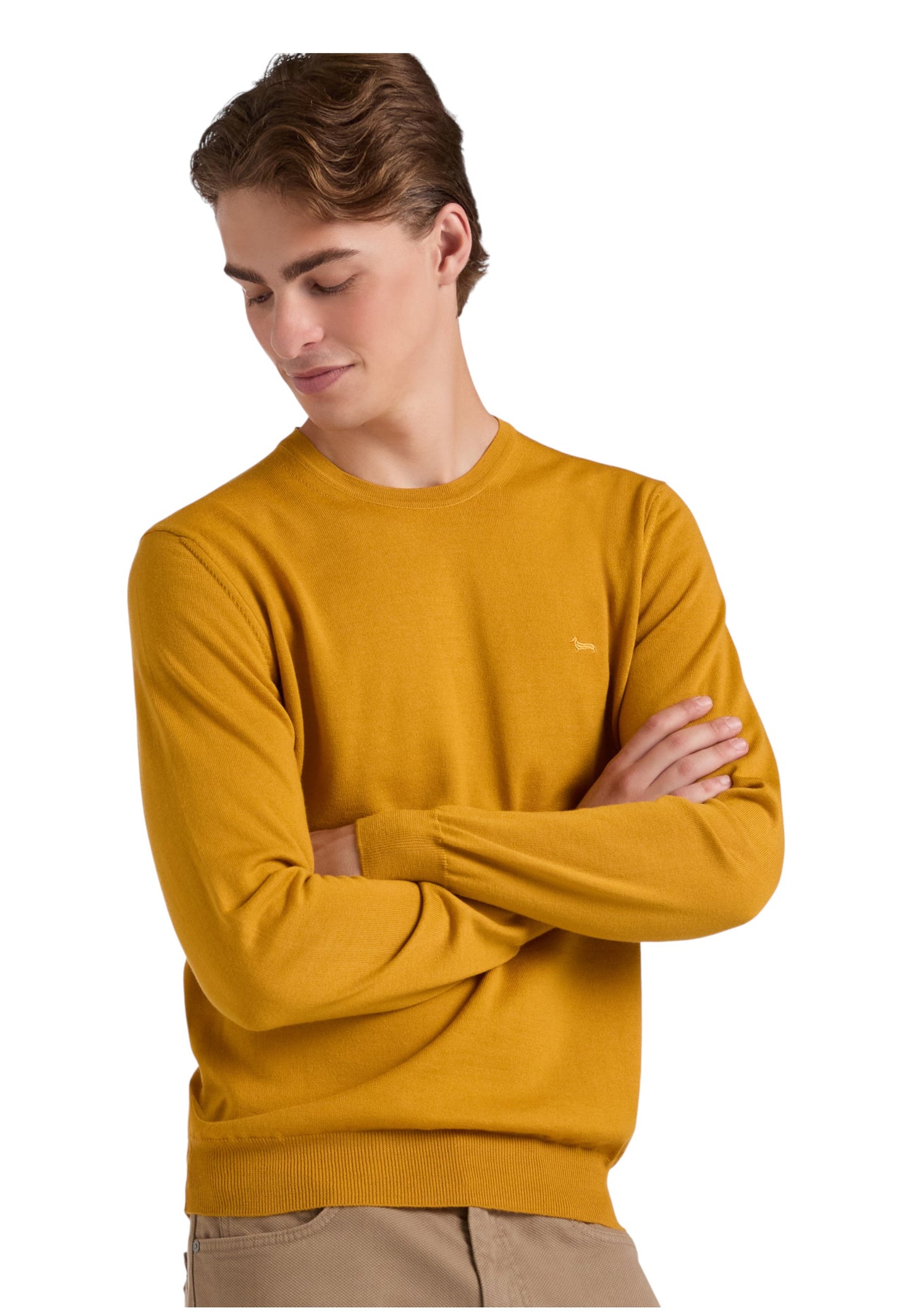 Maglia A Girocollo Uomo Harmont & Blaine   HRP012030788