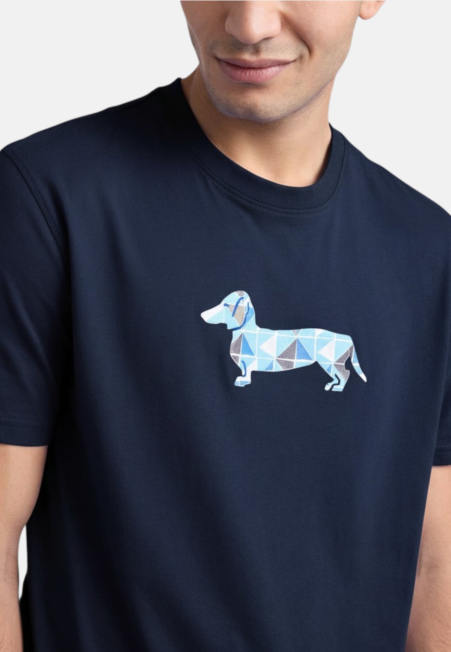 T-Shirt Manica Corta Uomo Harmont & Blaine Con Stampa Bassotto 3D  IRQ403021055S